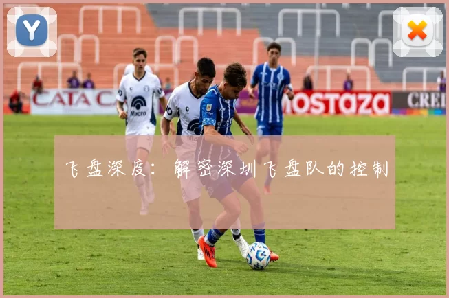 飞盘深度：解密深圳飞盘队的控制