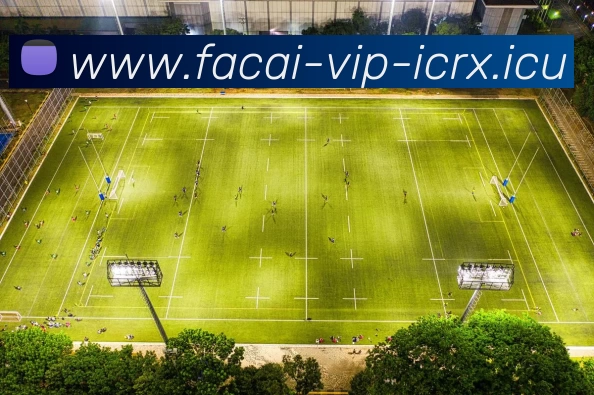 星空体育APP 封面图